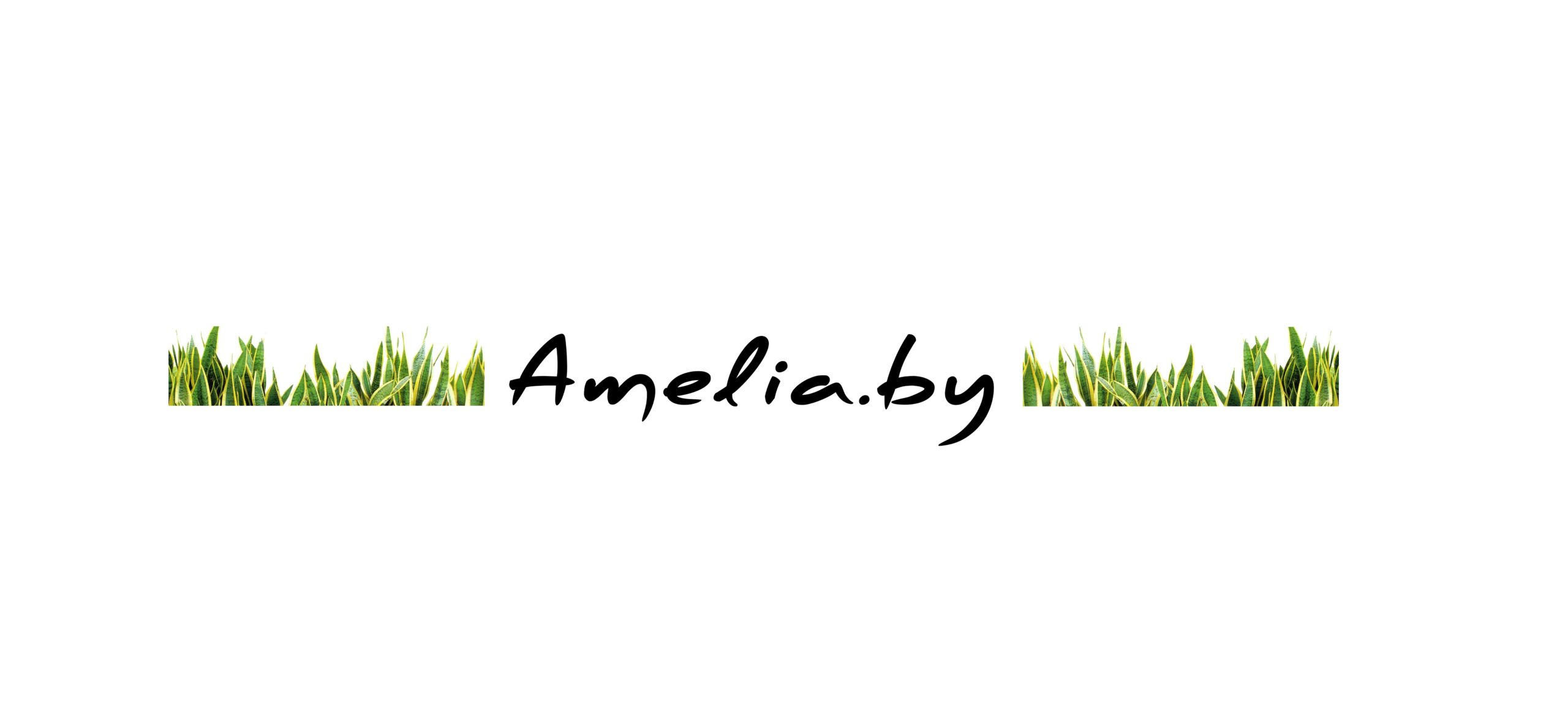 Ameli